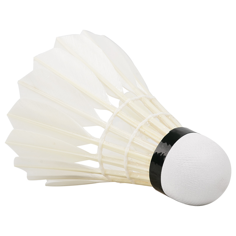 New 12PCS Professional Badmint - Badminton Youtube incelemesi ve fiyatı