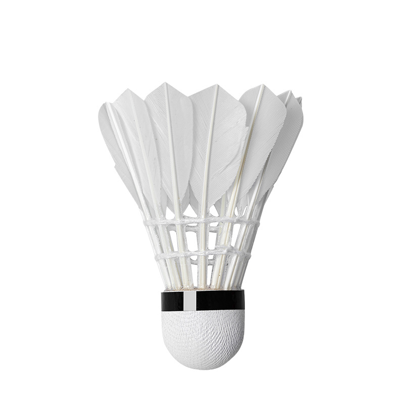 3/6/12Pcs 16 Feather Advanced  - Badminton Youtube incelemesi ve fiyatı